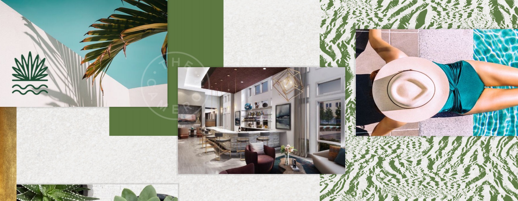 Petfriendly apartments in Tempe, AZ The Cameron