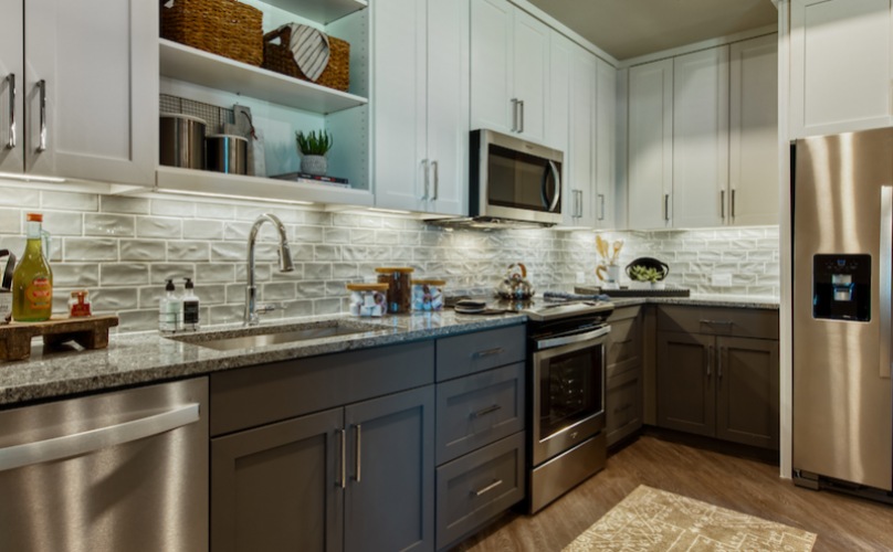 Petfriendly apartments in Tempe, AZ The Cameron